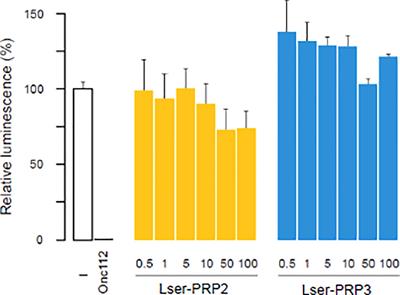 Proline-Rich Antimicrobial Peptides in Medicinal Maggots of Lucilia sericata Interact With Bacterial DnaK But Do Not Inhibit Protein Synthesis